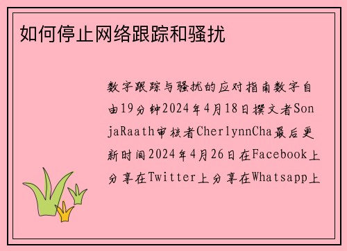 如何停止网络跟踪和骚扰 